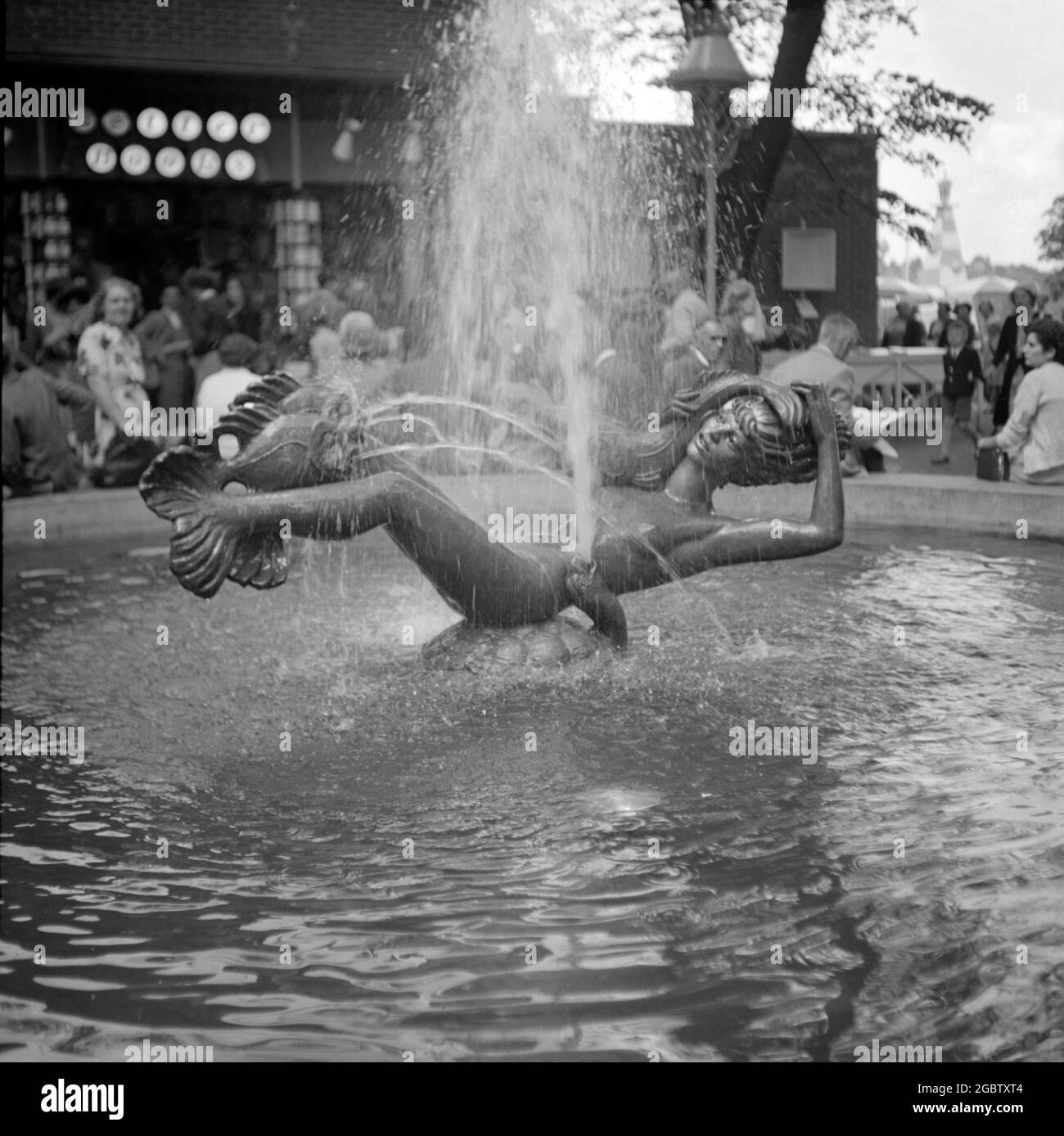 Eine Bronzeskulptur namens ‘Miranda’, eine Meerjungfrau, die von Arthur Fleischmann im Battersea Park, London, England, während des britischen Festivals 1951 installiert wurde. Es wurde von der Lockheed Brake and Clutch Company gesponsert. Das Wasserspiel war eine ungewöhnliche Darstellung einer Meerjungfrau, weil sie Beine und Fischschwanzflossen für die Füße hatte. Als das Festival zu Ende war, wurde es in das Lockheed HQ in Leamington Spa gebracht. Es wurde 2001 gestohlen und wurde nie gefunden. Fleischmann war ein in der Slowakei geborener, in London ansässiger Bildhauer, der den Einsatz von Plexiglas in der Bildhauerei vorantreitete. Stockfoto