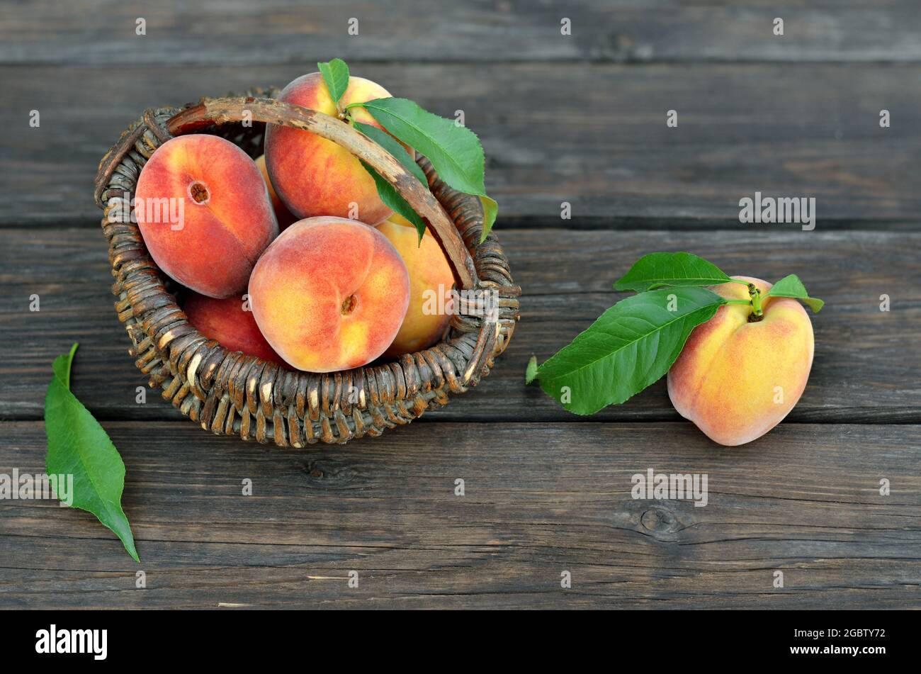 Korbkorb mit reifen saftigen Pfirsichfrüchten auf einem rustikalen Holztisch. Konzept des Anbaus Ihrer eigenen Bio-Lebensmittel. Stockfoto