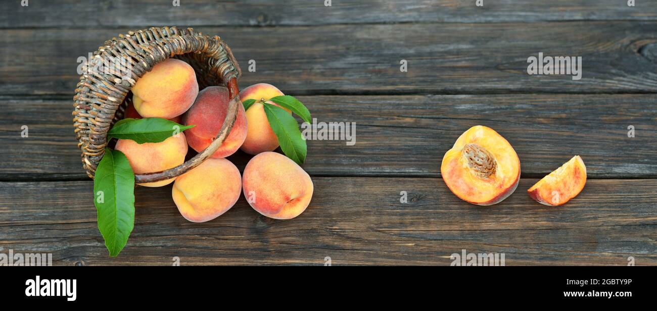 Reife saftige Pfirsiche mit grünen Blättern neben einem Weidenkorb auf einem alten rustikalen Tisch. Konzept des Anbaus Ihrer eigenen Bio-Lebensmittel. Stockfoto