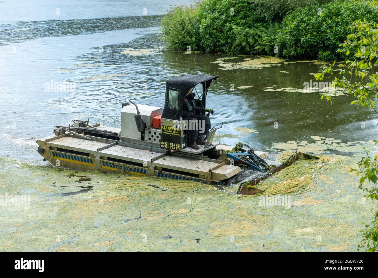 Mann, der an einem Amphibienfahrzeug arbeitet, das als truxor bezeichnet wird und das Teichunkraut oder Algen aus einem See entfernt, Großbritannien Stockfoto