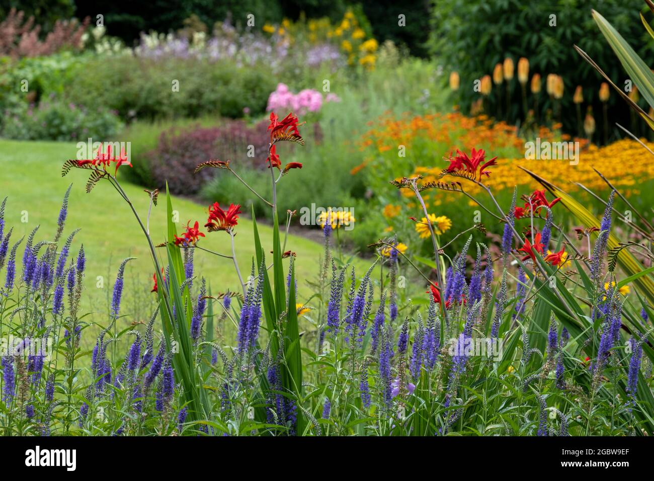 Bressignham Garden, Norfolk beeinflusst von der Philosophie des naturalistischen Pflanzens, mit Schwerpunkt auf Schichtbildung, Struktur, Form und breiter Farbpalette. Stockfoto