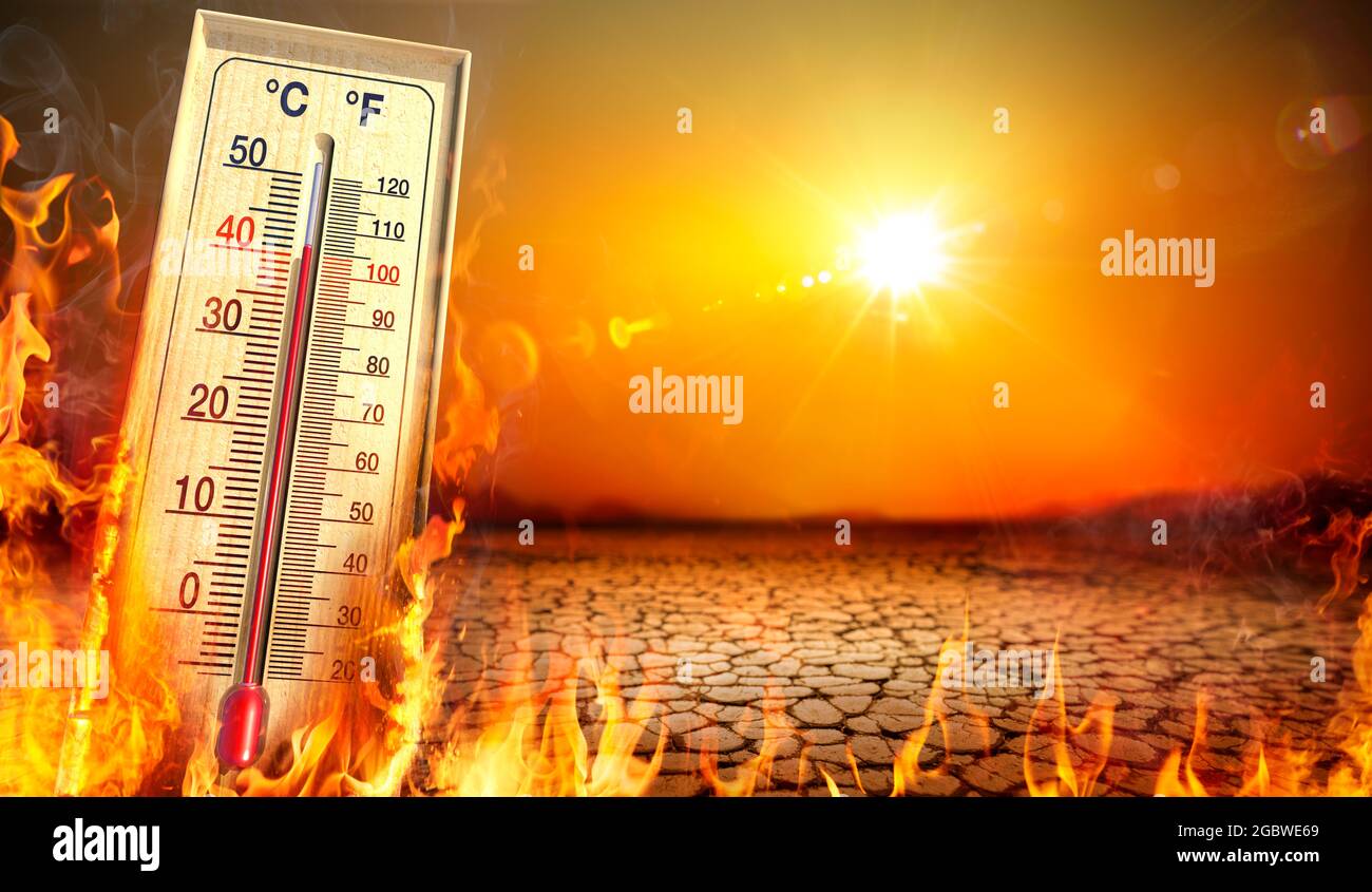 Hitzewelle mit warmem Thermometer und Feuer - Globale Erwärmung und extremes Klima - Umweltkatastrophe - enthalten 3d-Rendering Stockfoto