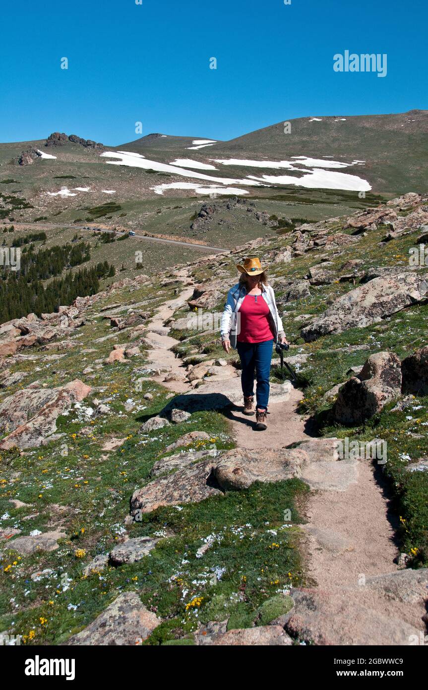 Junge Frau auf dem Weg nach Hidden Lake, Logan Pass, Glacier National Park, Montana Stockfoto