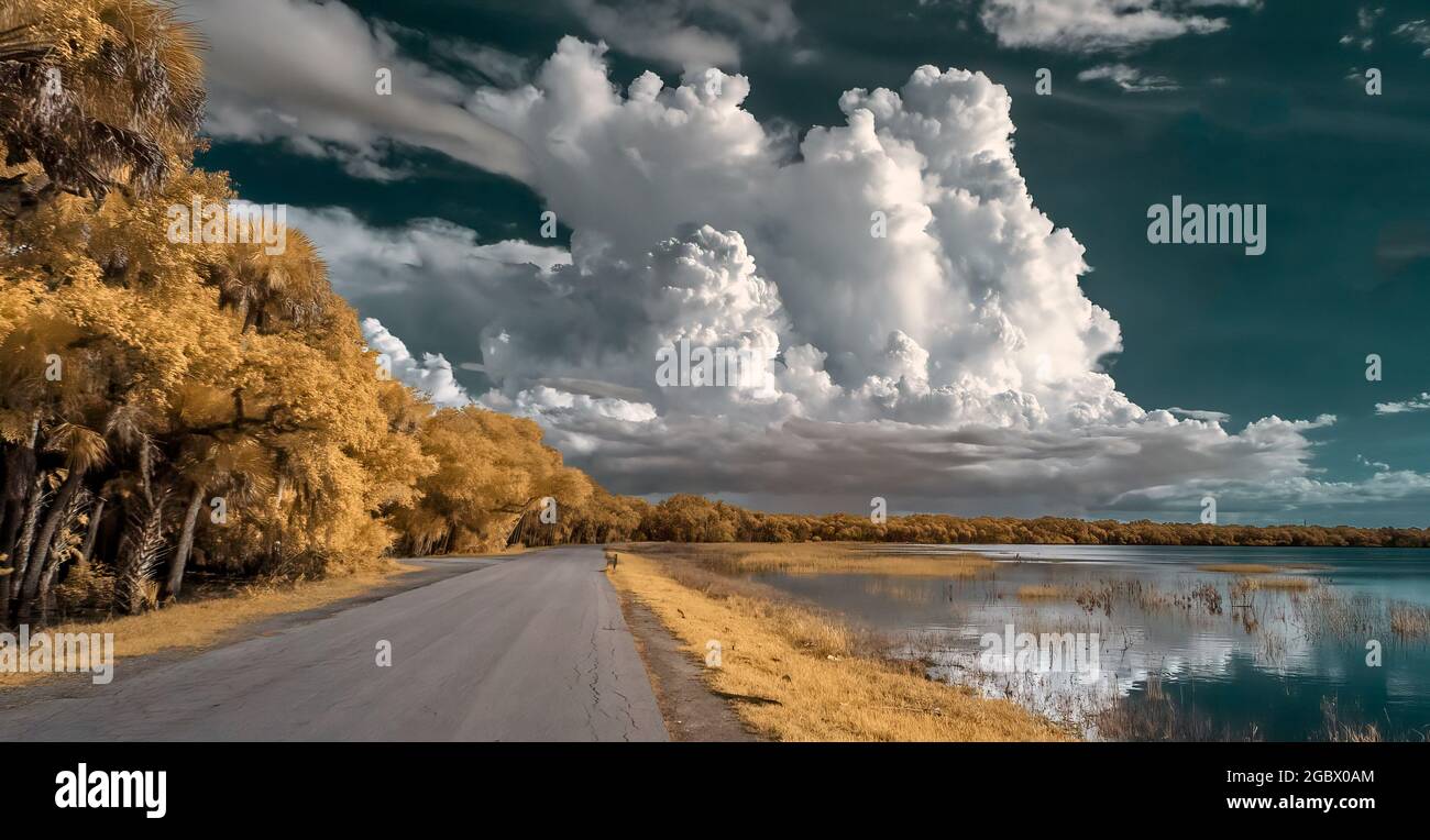 Infrarot Rotes Falschfarbenbild der Hauptstraße und überschwemmtes Big Flats Gebiet mit großen weißen Wolken am Myakka River State Park in der US-amerikanischen Stadt Stockfoto