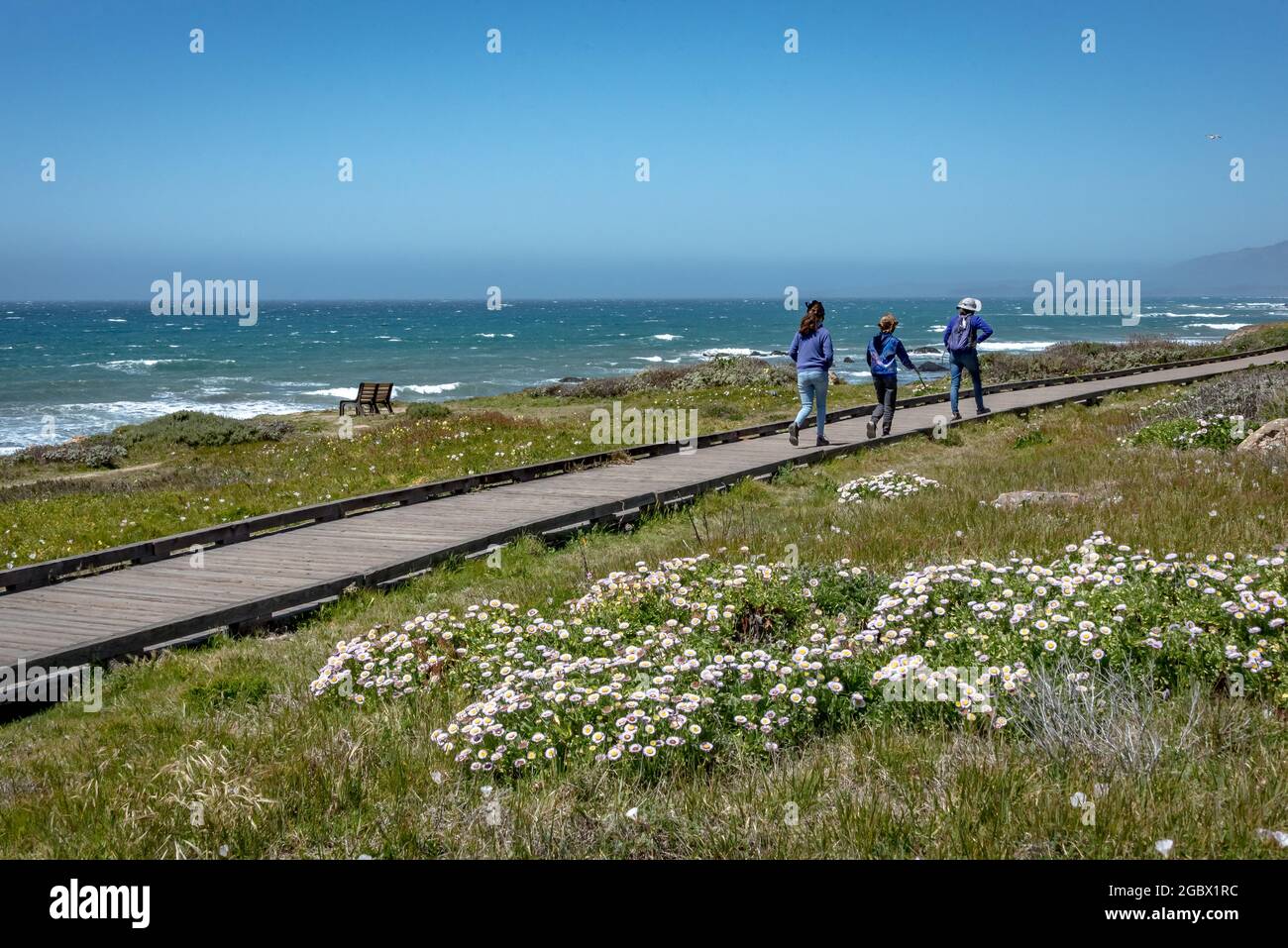 Drei Kinder erkunden den Moonstone Beach Boardwalk Trail mit Blick auf das Meer und Wildblumen im Vordergrund. Stockfoto