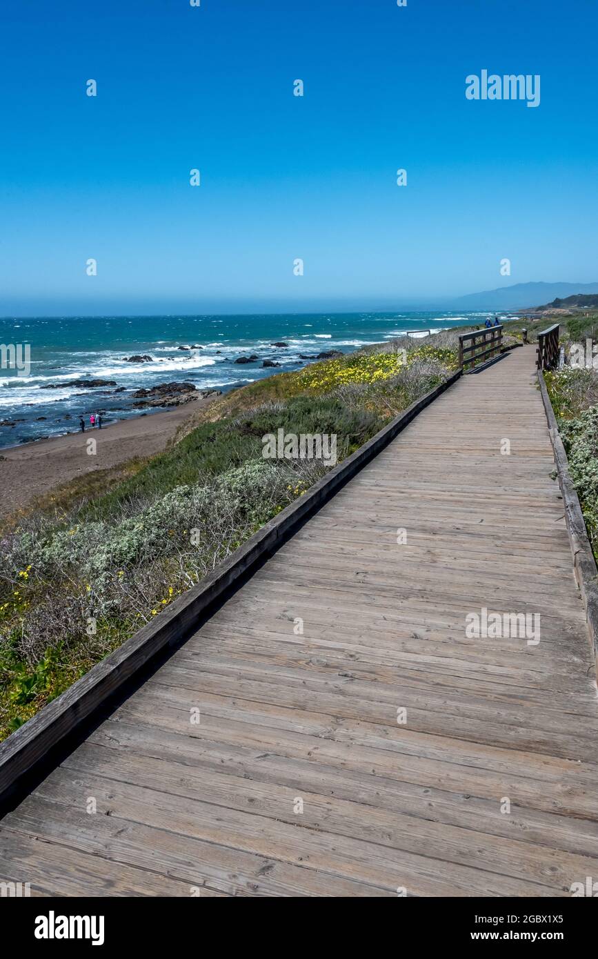 Der Moonstone Beach Boardwalk Trail ist rollstuhlgerecht und kinderwagenfreundlich mit Blick auf den Pazifik, das Monterey Bay National Marine Sanctuary. Stockfoto