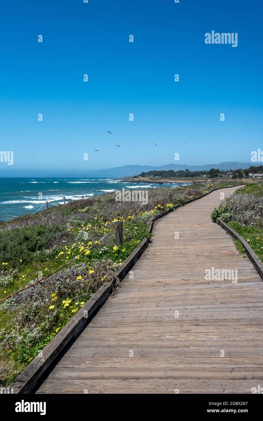 Moonstone Beach Boardwalk Trail an einem malerischen Abschnitt der Küstenklippe mit Blick auf das Monterey Bay National Marine Sanctuary in Cambria. Stockfoto