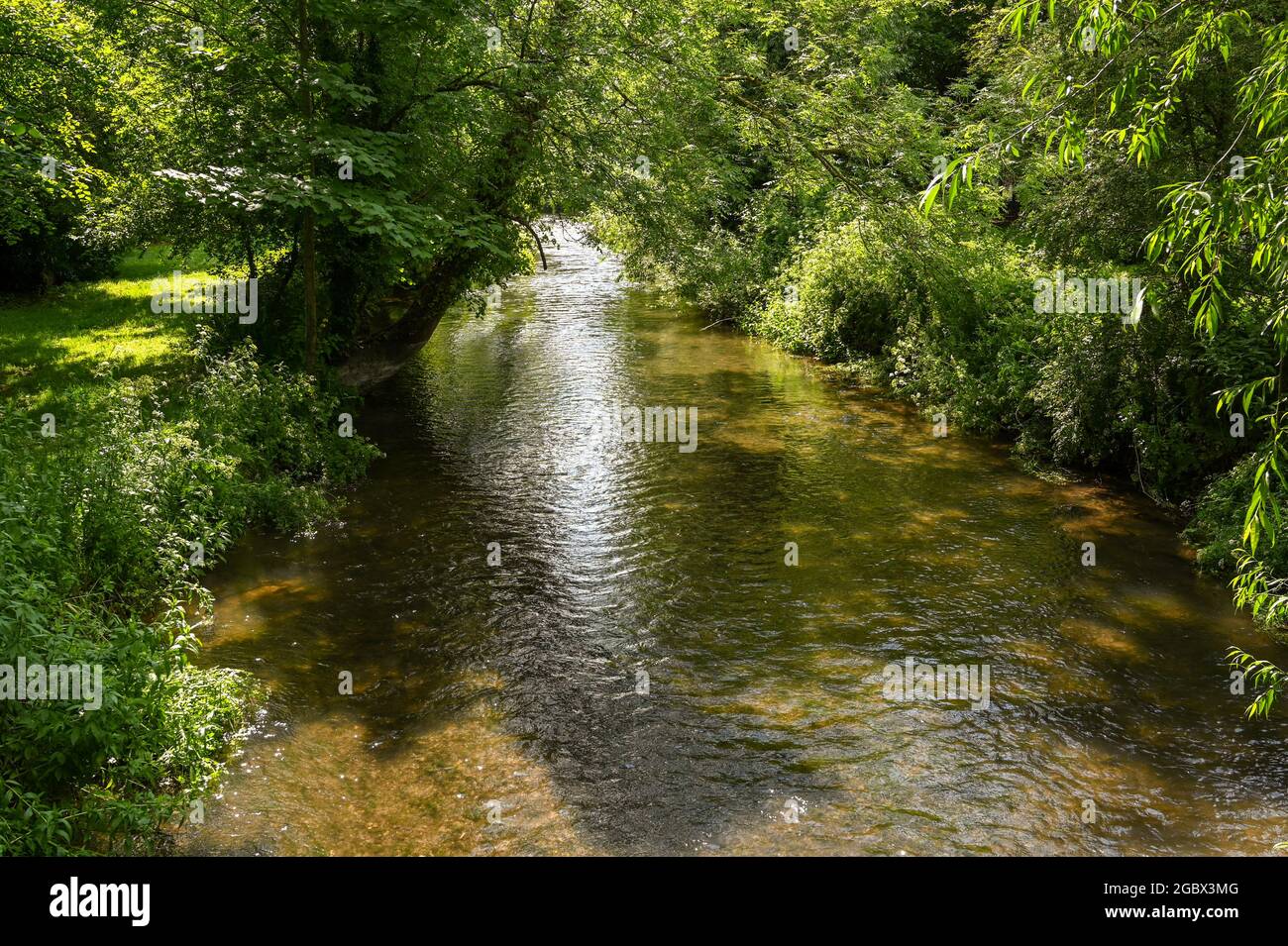 Ruhige ländliche Szene eines flachen Flusses, der unter einem Baumkronendach fließt. Keine Personen. Stockfoto