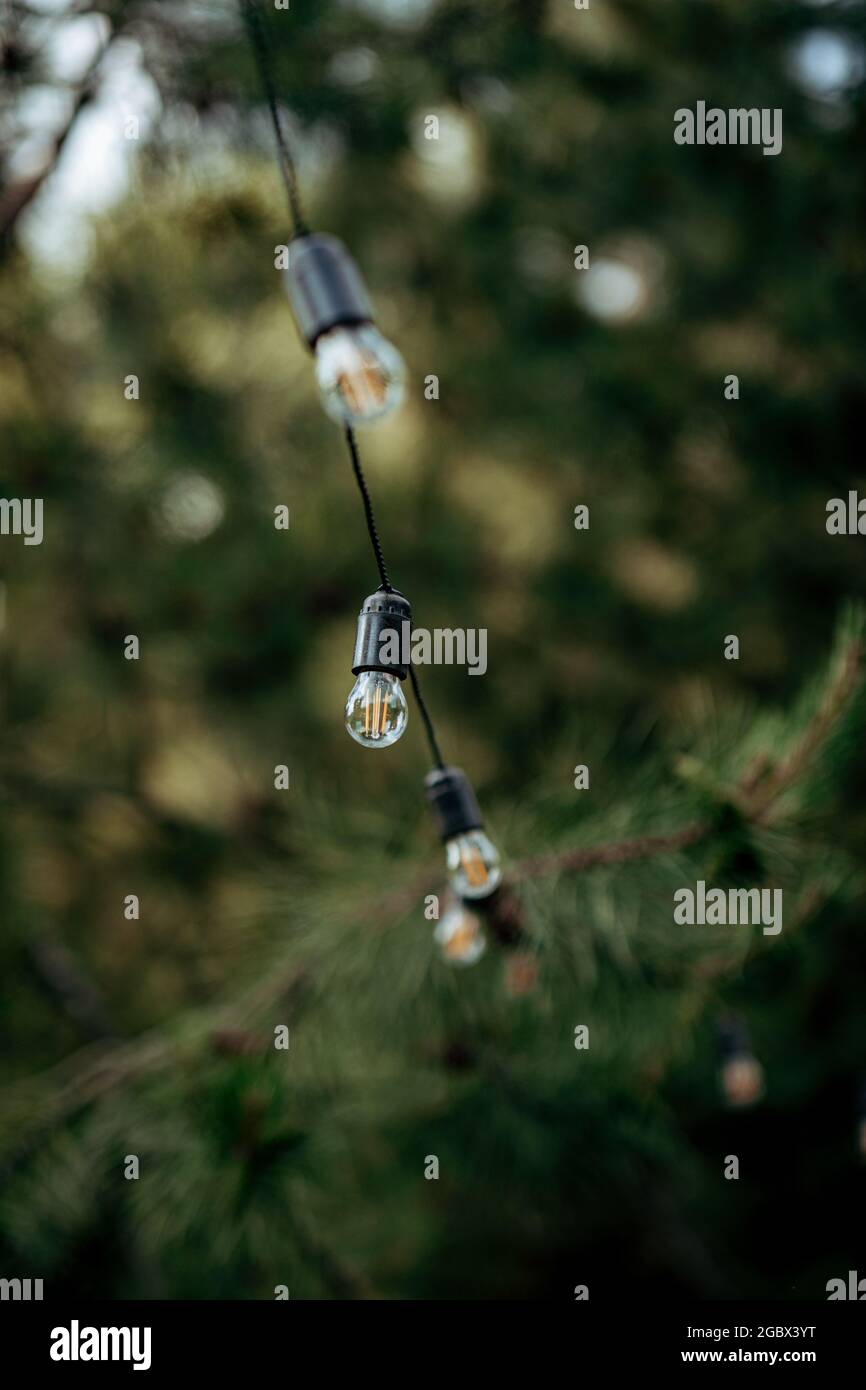 Wunderschöne gelbe Glühbirnen auf der Straße Stockfoto