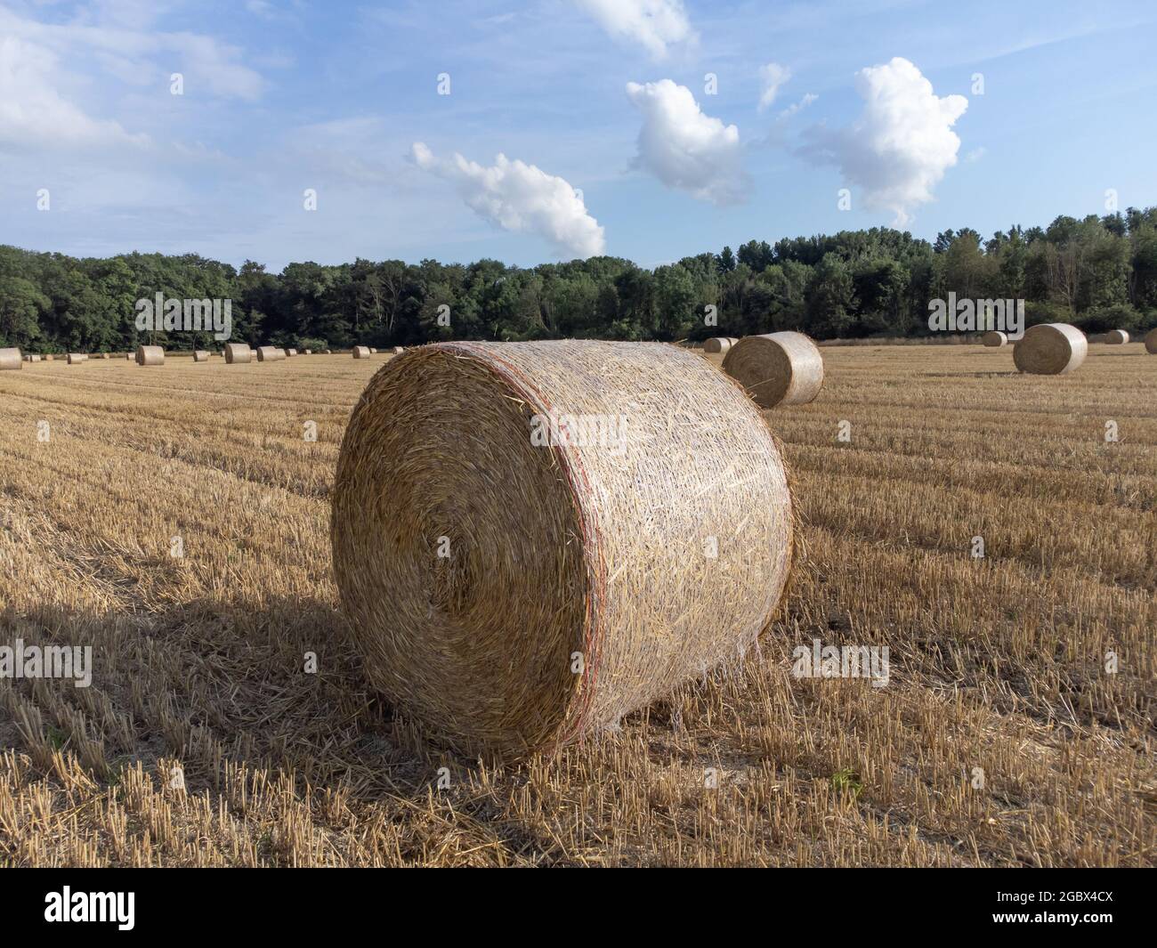 Geerntetes Getreidefeld mit Strohballen, aufgenommen mit einer Drohne, Nordrhein-Westfalen, Niederrhein, Deutschland Stockfoto