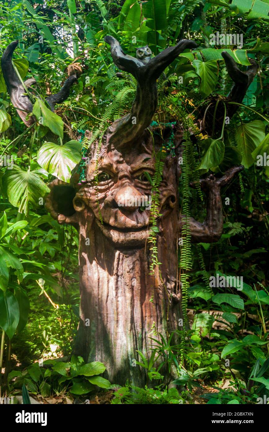 Lächelnder Baum im Amazon Manatee Rescue Center in der Nähe von Iquitos, Peru Stockfoto