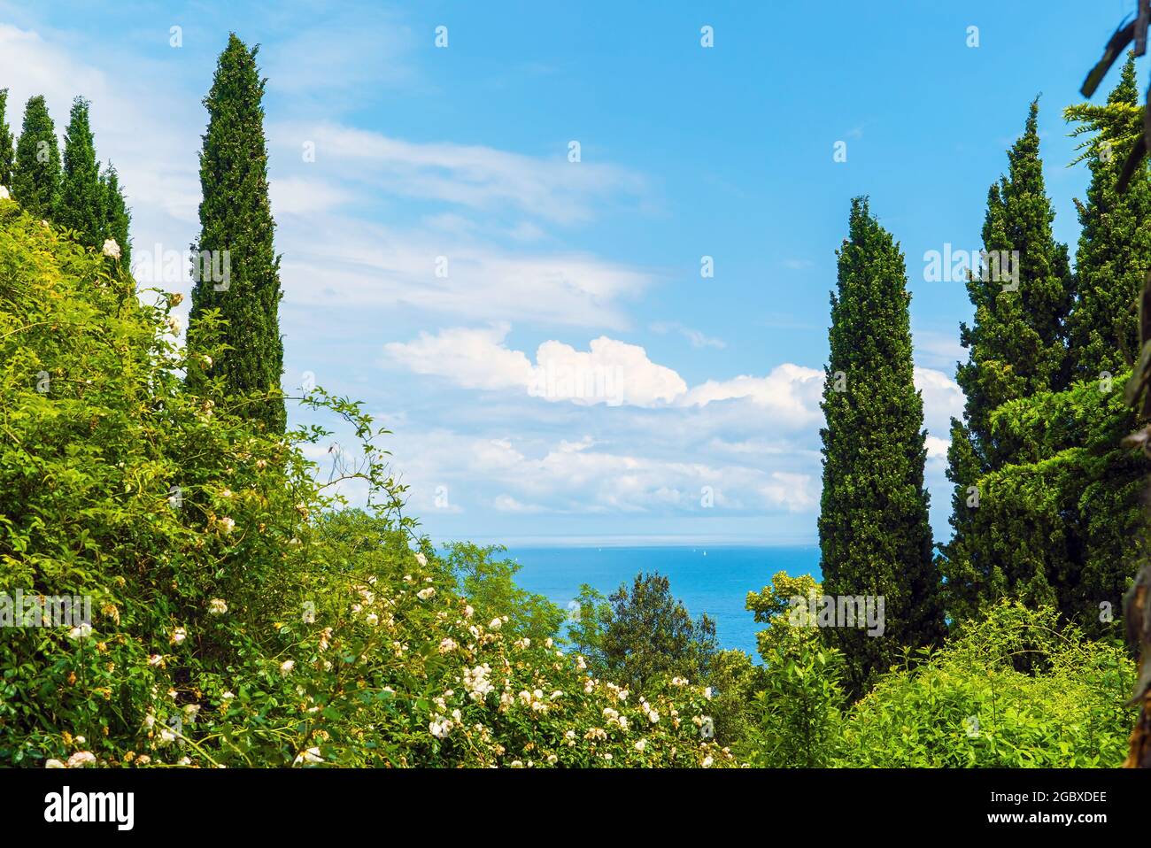 Im Park des Livadia Palace. Krim. Jalta Stockfoto