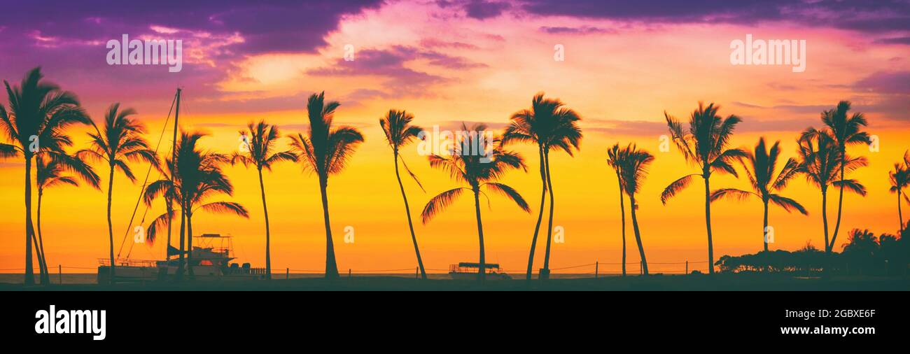 Sonnenuntergang Strand Palmen Silhouette in der Sonne leuchten Fackel Panorama. Hawaii Reise Ziel Banner Panorama Header Hintergrund Stockfoto