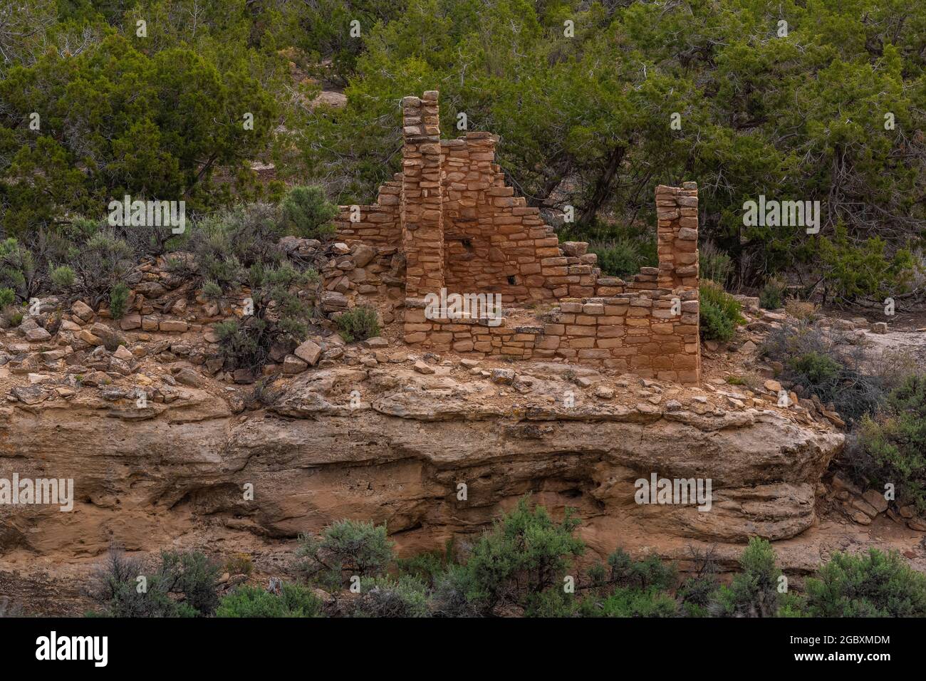 Ruinen von Hackberry Pueblo im Hovenweep National Monument, Colorado, USA Stockfoto