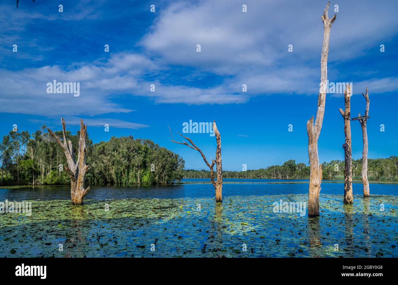 Sandstone Lakes malerische Parklandschaft am Ningi in der Moreton Bay Region, Southeast Queensland, Australien Stockfoto