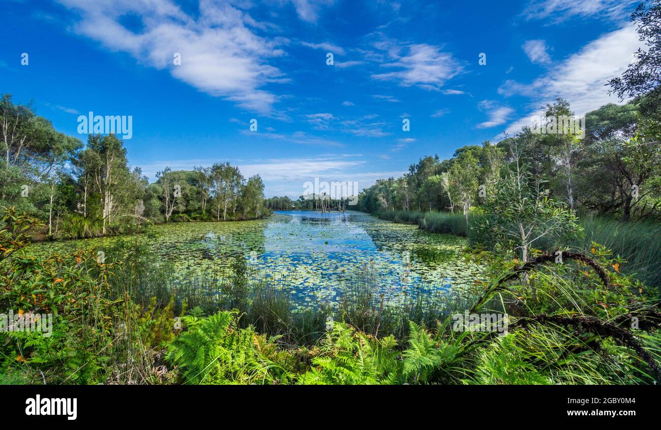Sandstone Lakes malerische Parklandschaft am Ningi in der Moreton Bay Region, Southeast Queensland, Australien Stockfoto