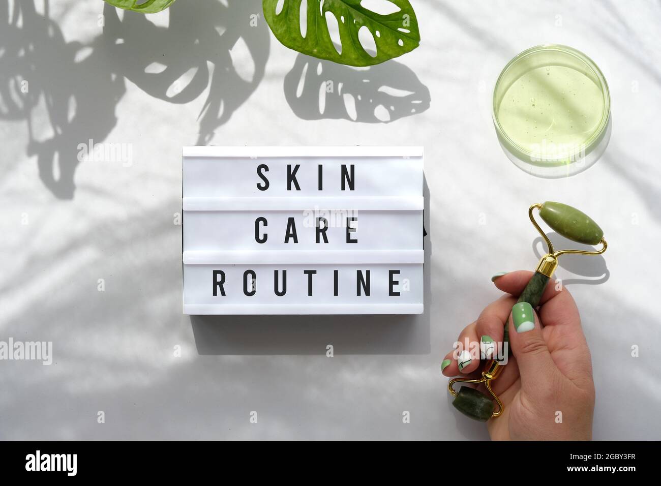 Text Hautpflege Routine auf Leuchtkasten. Hand mit grüner Jade Gesichtswalze und Aloe-Gel-Feuchtigkeitscreme. Monstera adansonii Blätter. Sonnenschein, lange Schatten Stockfoto