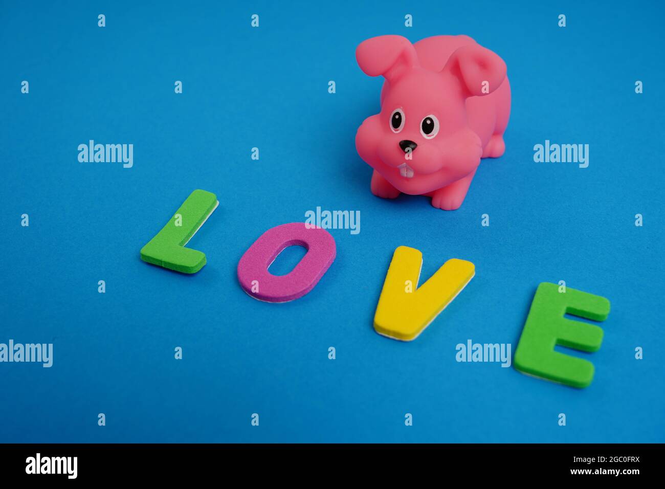 Kaninchen und Wortliebe in farbigen Buchstaben auf blauem Hintergrund geschrieben, das Konzept der Tierliebe Stockfoto