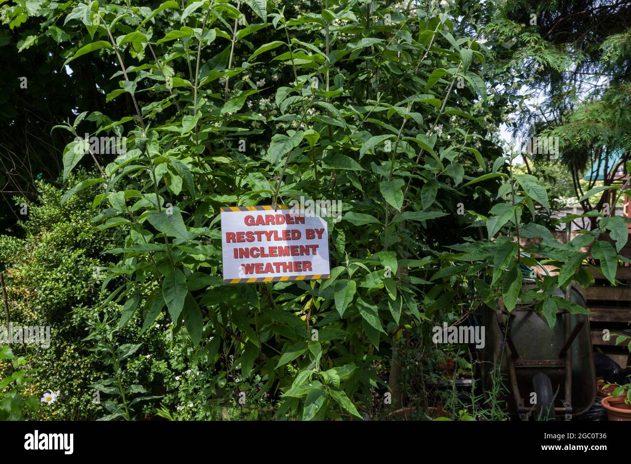 Humorvoller Hinweis, Garten von schlechtem Wetter neu gestaltet, an einem Tag im Freien im Dorf Gayton, Northamptonshire, Großbritannien Stockfoto