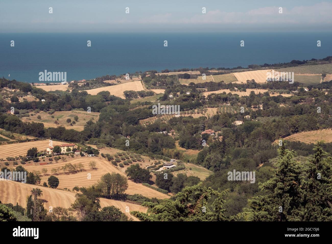 Die Hügel vor der Adria in der Provinz Pesaro und Urbino, Marken, Italien Stockfoto