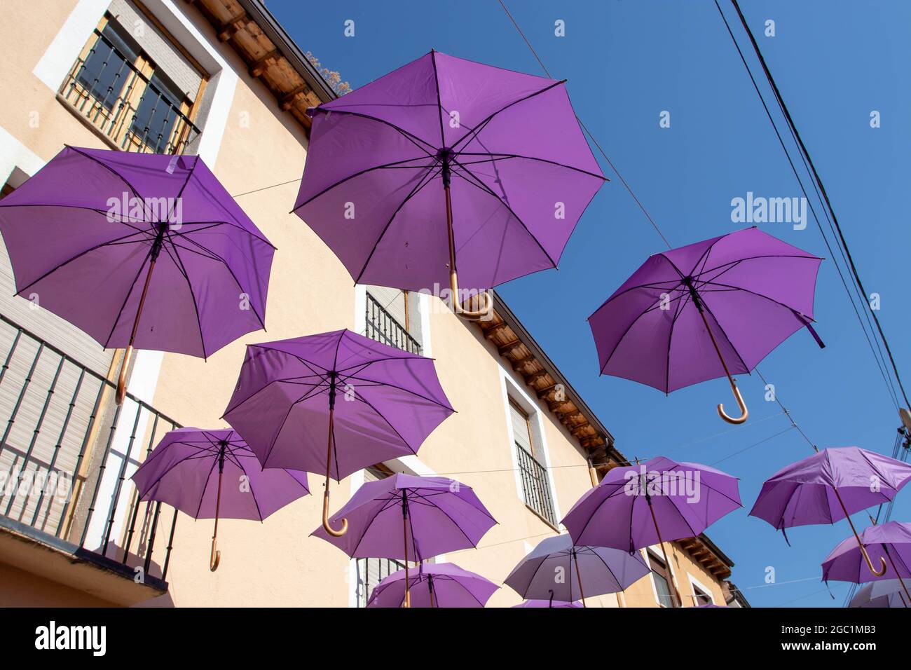 BRIHUEGA, SPANIEN - 10. JULI 2021: Lavendelfarbene Regenschirme, die während der blühenden Felder über der Straße hängen, Brihuega, Guadalajara, Castilla-La Stockfoto