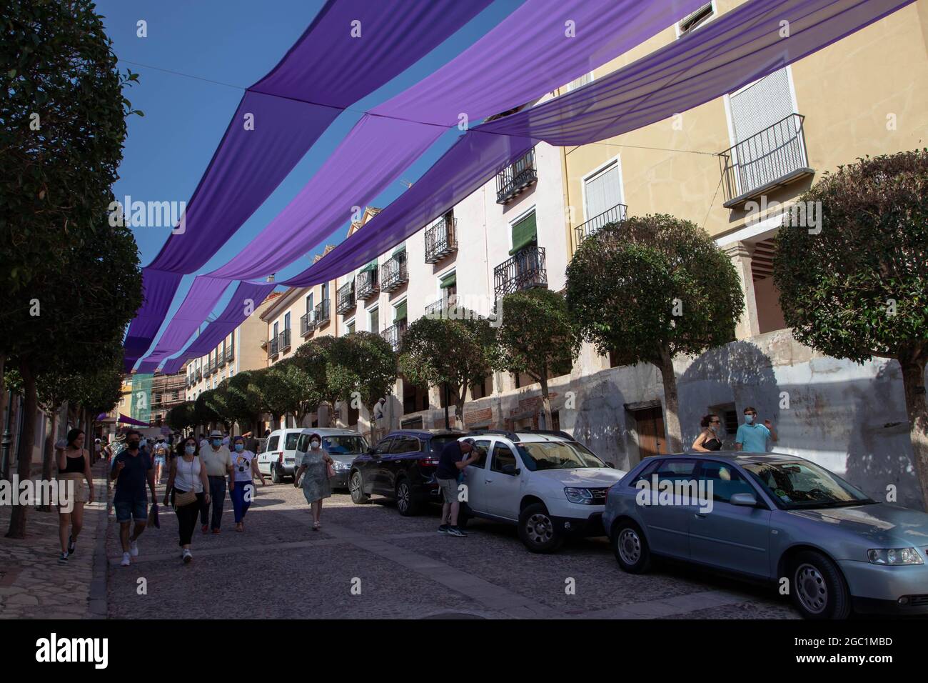 BRIHUEGA, SPANIEN - 10. JULI 2021: Während der Blütezeit der Lavendelfelder beschatten violette Banner die Straße, Brihuega, Guadalajara, Castilla-La Mancha, Spai Stockfoto