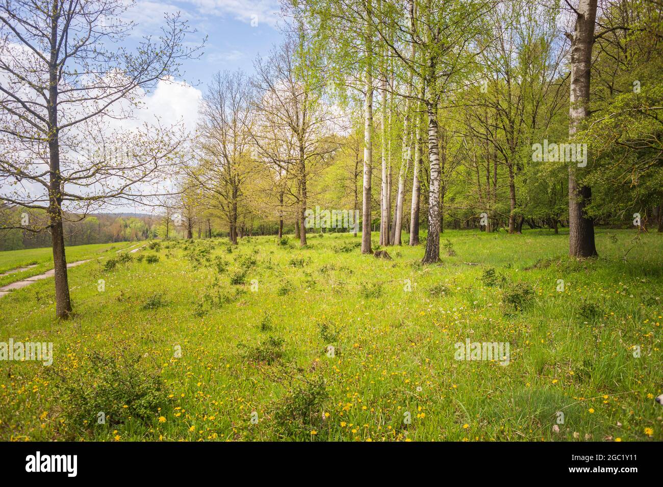 Innerdeutsche Grenze zwischen Thüringen und Bayern bei Eisfels, Thüringen, Deutschland Stockfoto