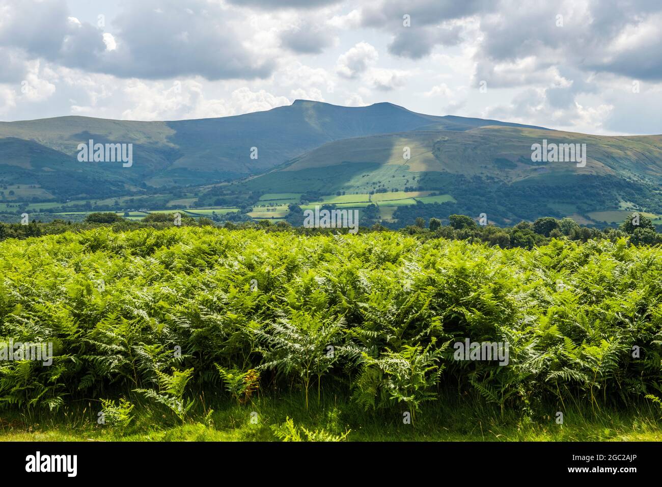 Blick auf die Central Brecon Beacons von Mynydd Illtud Powys Stockfoto