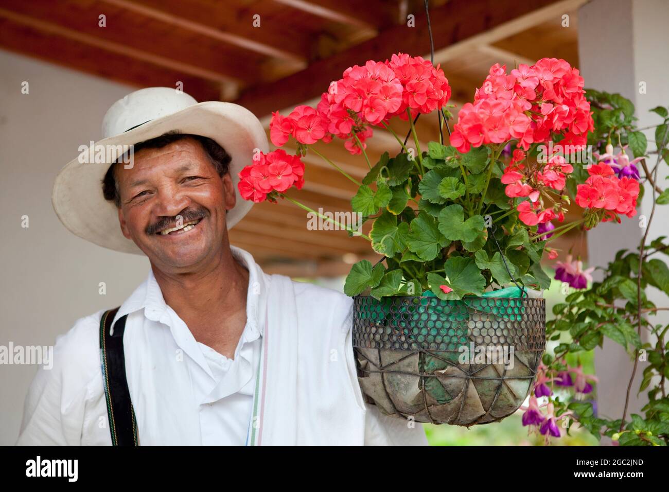 Porträt eines traditionellen „silletero“ (Blumenküchters) in Santa Elena in der Nähe von Medellin, Kolumbien. Stockfoto