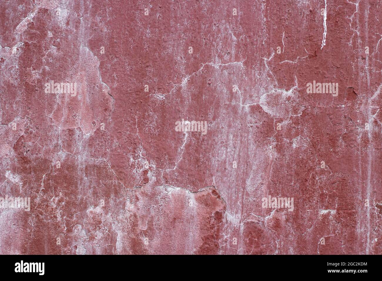 Die Textur der Plaque an der Wand. Die Wand ist mit weißem Schimmel bedeckt. Scheidungen auf dem Putz. Stockfoto