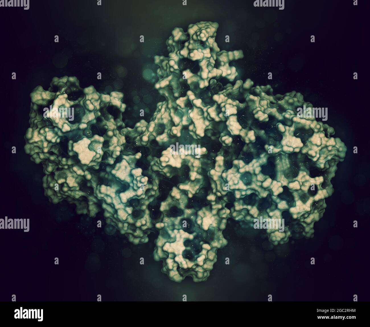 Botulinumtoxin neurotoxisches Protein, 3D-Rendering. Produziert von Cl Stockfoto