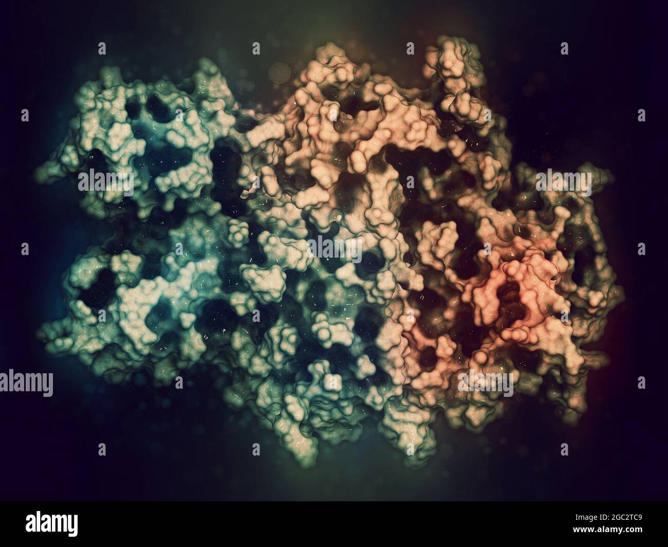 Koagulationsfaktor VIII (FVIII)-Protein, 3D-Rendering. Deficienc Stockfoto