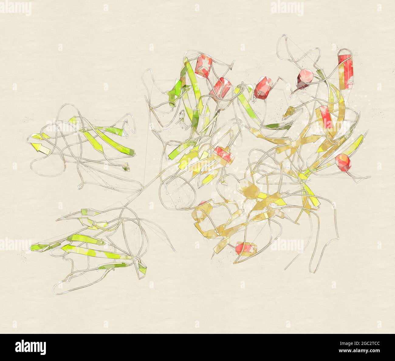 Koagulationsfaktor VIII (FVIII)-Protein, 3D-Rendering. Deficienc Stockfoto