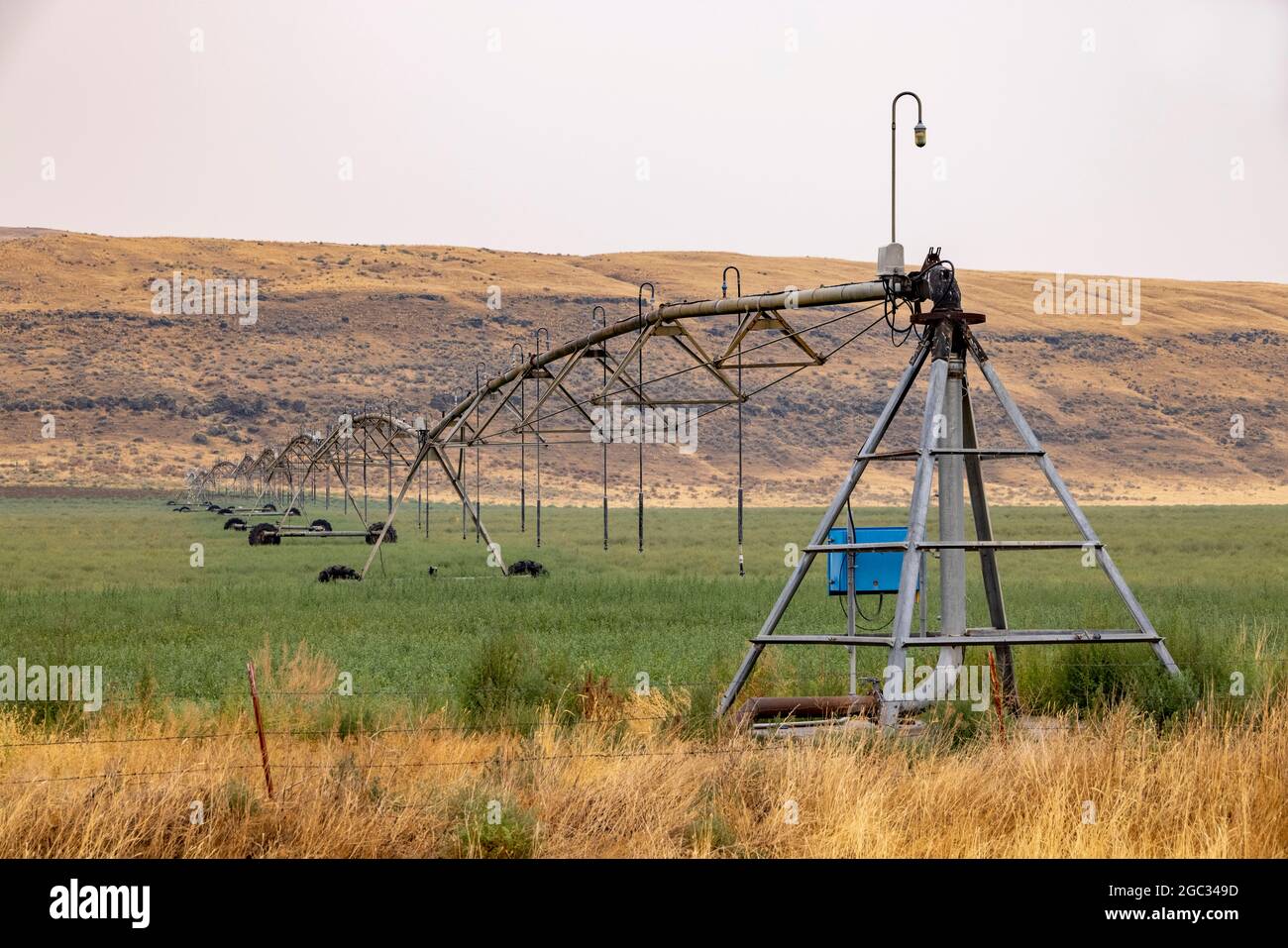 Center Pivot Irrigation mit Sprinkleranlage von Field, Palouse Area, Washington State, USA Stockfoto