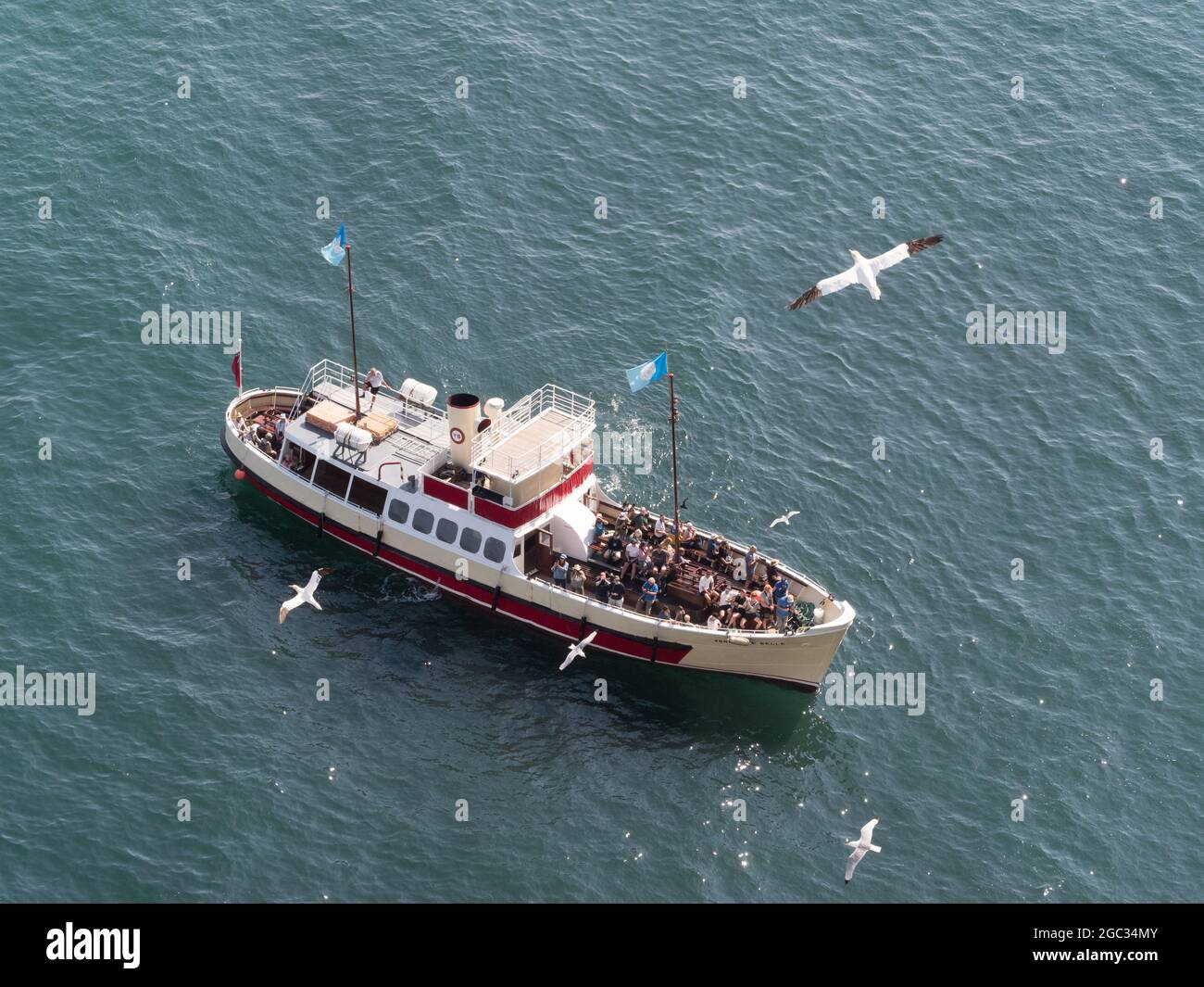Ein Wildlife-Kreuzfahrt-Boot auf See hat mehrere Passagiere an Bord.von oben auf See gesehen können Seevögel fliegen sehen Stockfoto