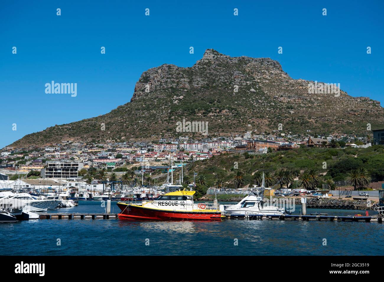 Hout Bay Harbour, Südafrika Stockfoto