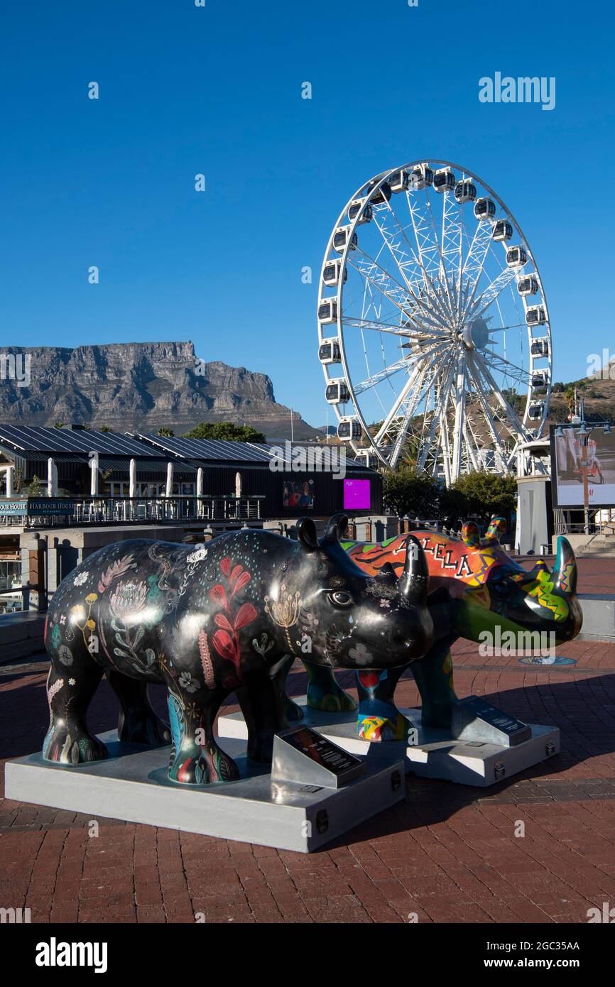 Rhino-Kunst und das Cape Wheel an der Victoria & Alfred Waterfront, Kapstadt, Südafrika Stockfoto