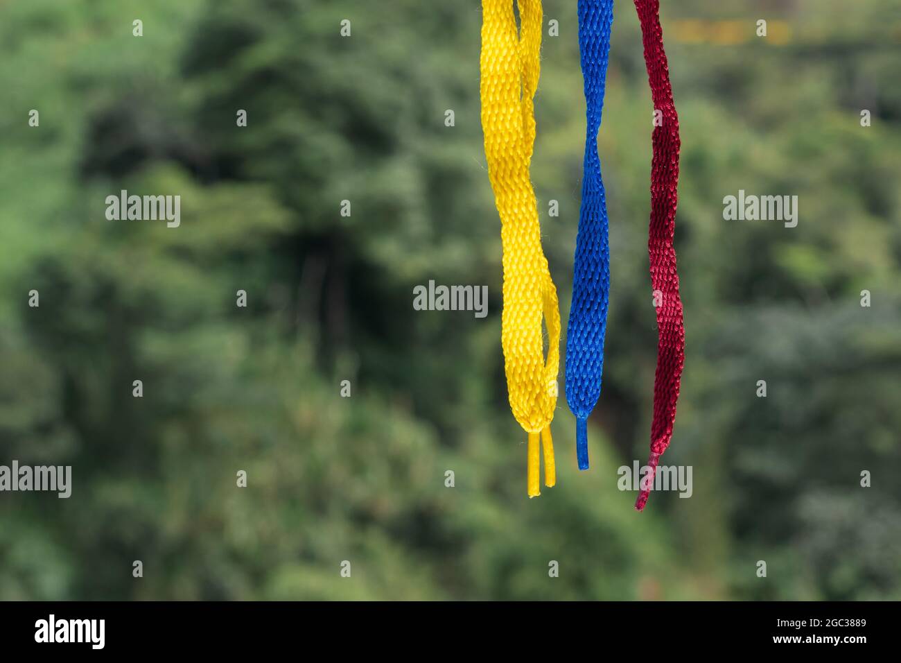 Flagge Kolumbiens mit Schnürsenkeln, hängend auf einem Hintergrund von dichtem Dschungel, grüner Hintergrund Stockfoto