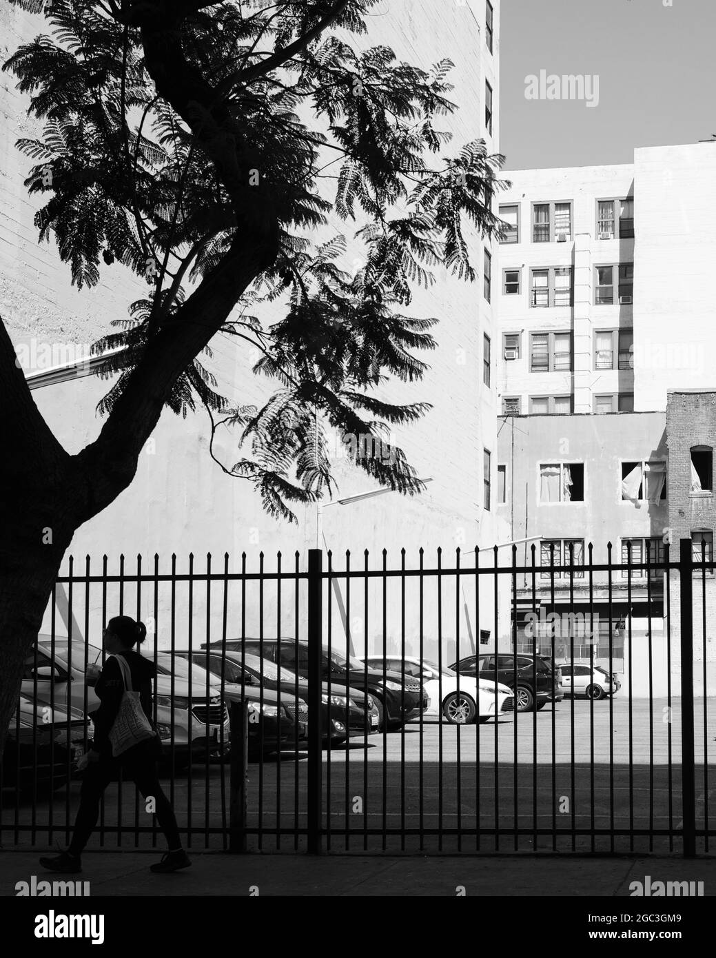 Straßenszene in der Innenstadt von Los Angeles, CA USA (schwarz-weiß) Stockfoto