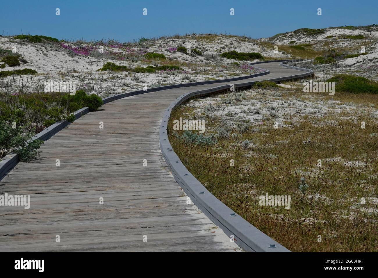 Eine Holzpromenade führt über Sanddünen zum Horizont und schließlich zum Strand. Stockfoto