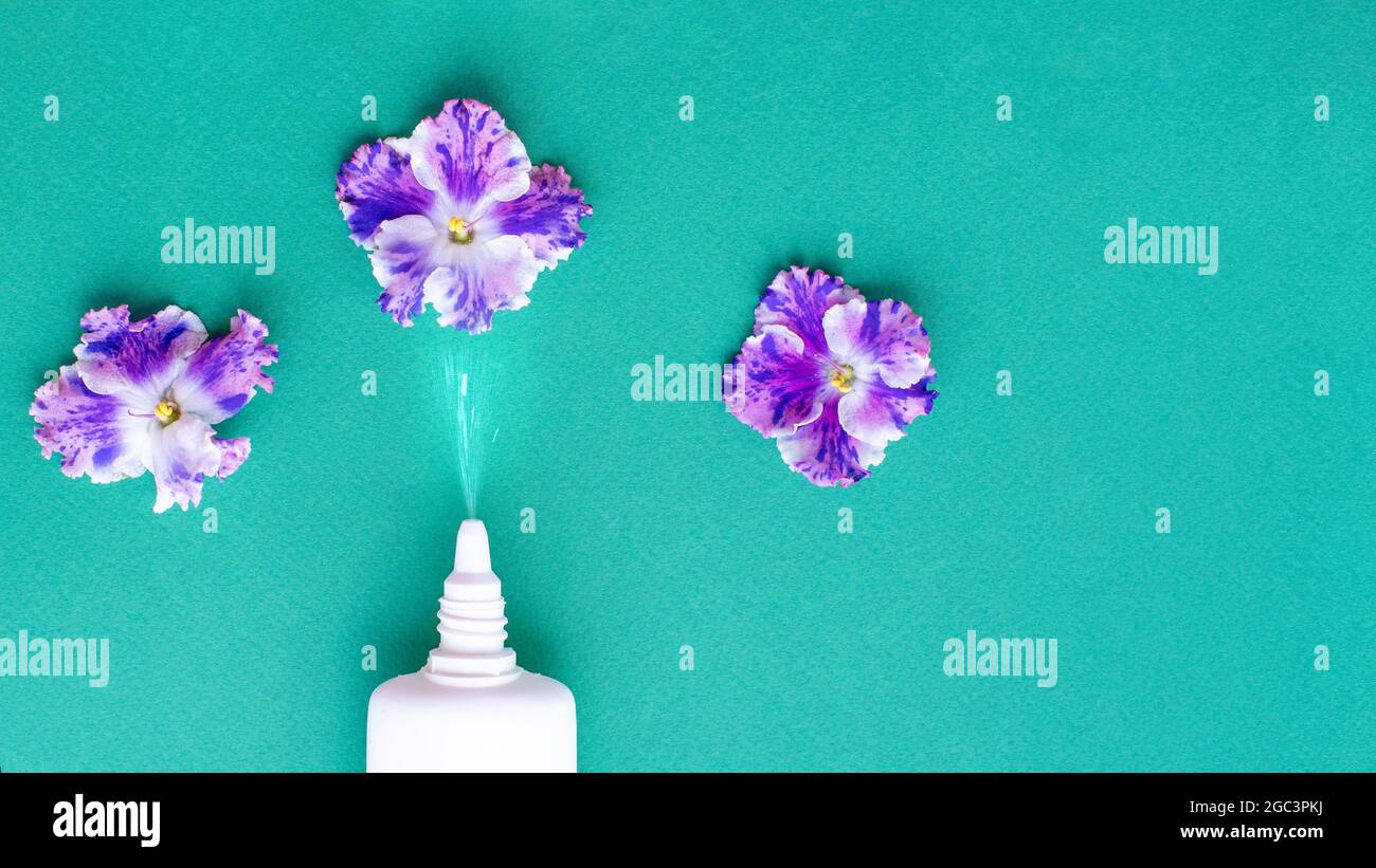 Blumenallergie-Konzept. Weiße Sprühdose mit violetten Blüten auf grünem Hintergrund. Kreatives, flaches Lay-Design, Platz für Kopien. Stockfoto