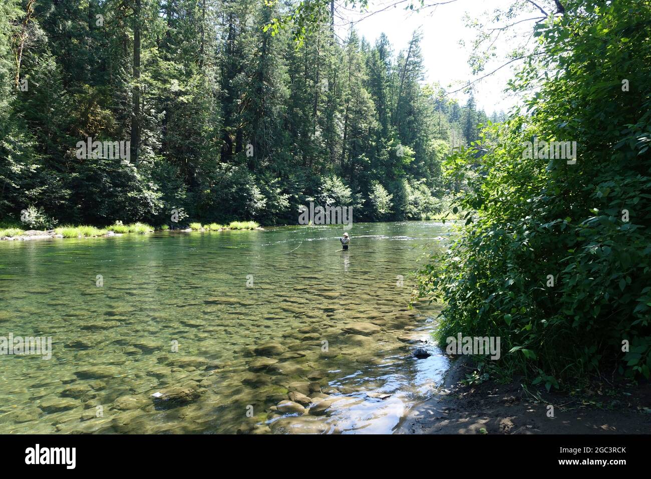 Am Clackamas River im Norden von Oregon, nur wenige Minuten von Portland entfernt, kann man ...