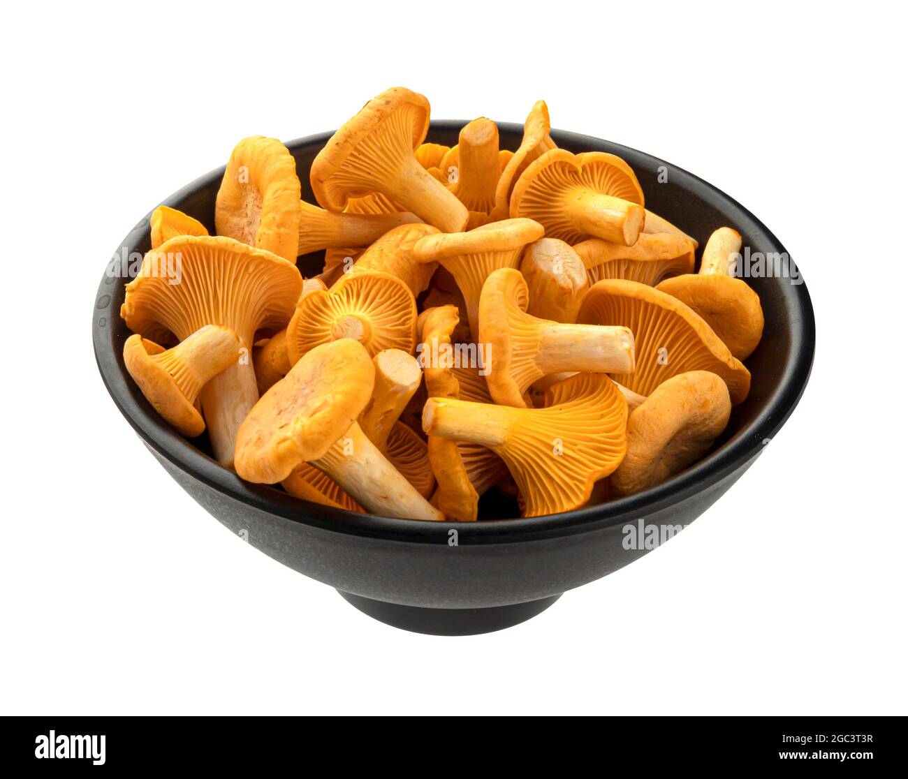 Ester: Australian Cooking