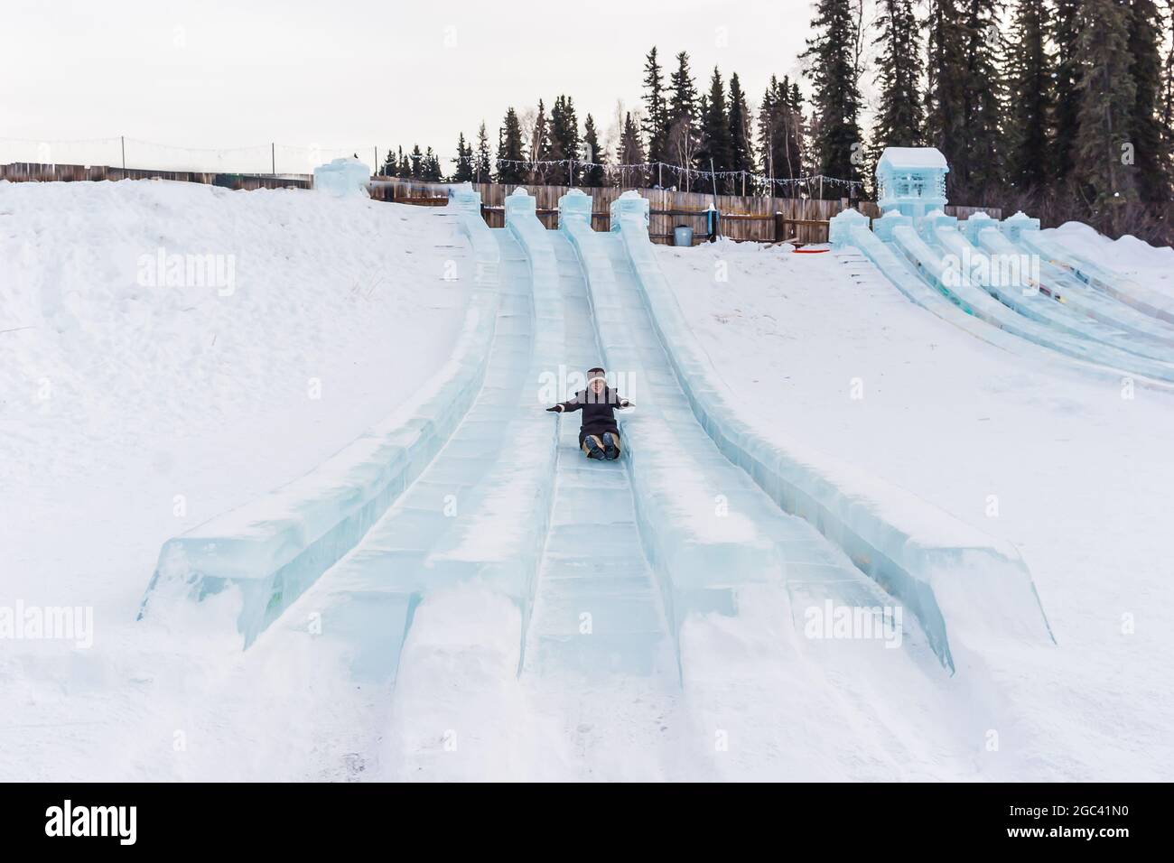 Hündin auf der Rieseneisbahn, Ice Art Championships, Fairbanks, Alaska, USA Stockfoto