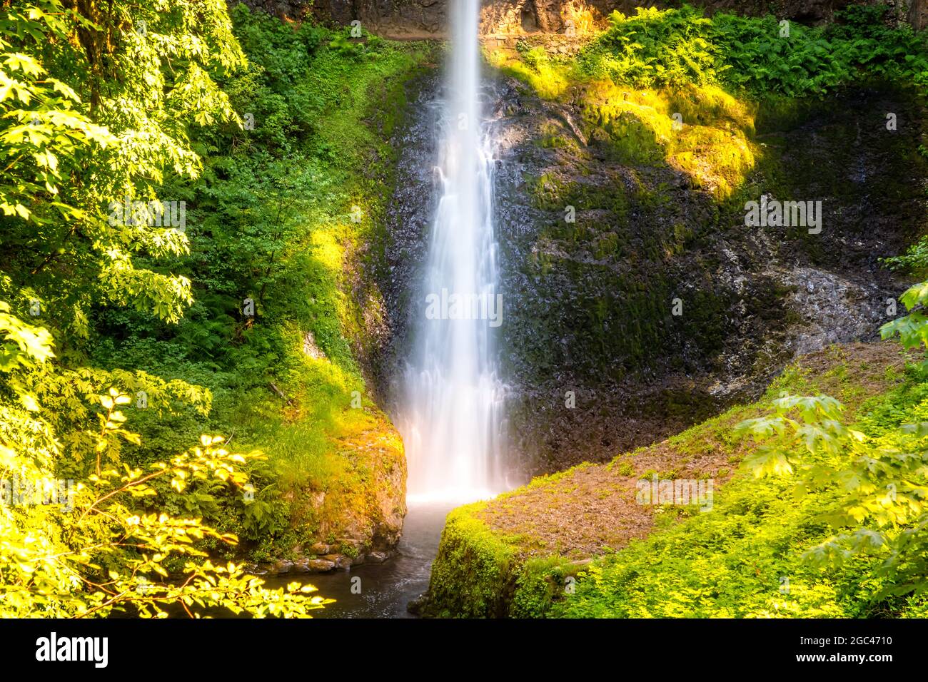 Drake Falls im Silver Falls State Park, Oregon Stockfoto