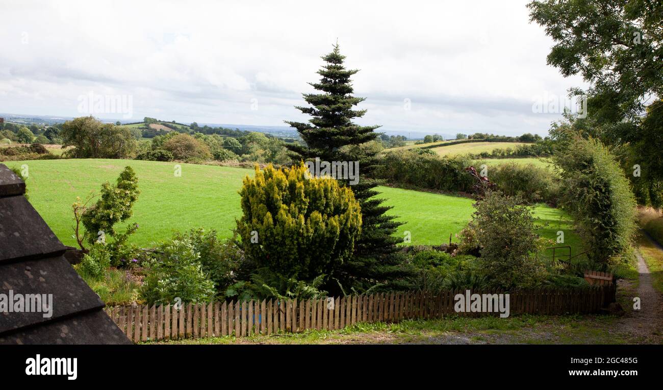 Feld neu gesät mit Gras in Durmlin Land, County Monaghan, Irland Stockfoto