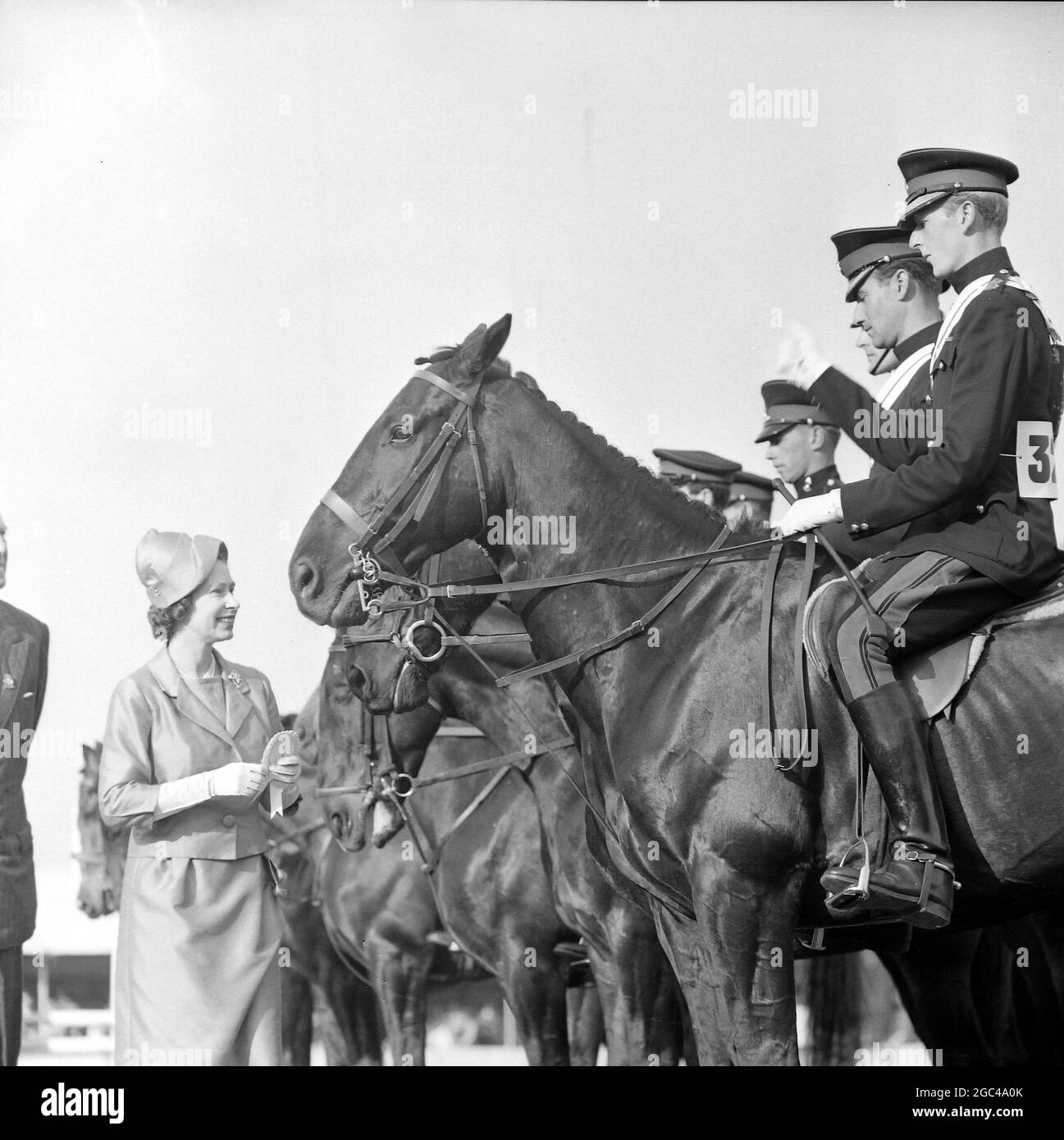 PFERDESHOWS MIT KÖNIGIN ELIZABETH II. AM LETZTEN TAG VON ROYAL WINDSOR ; 17. MAI 1964 Stockfoto