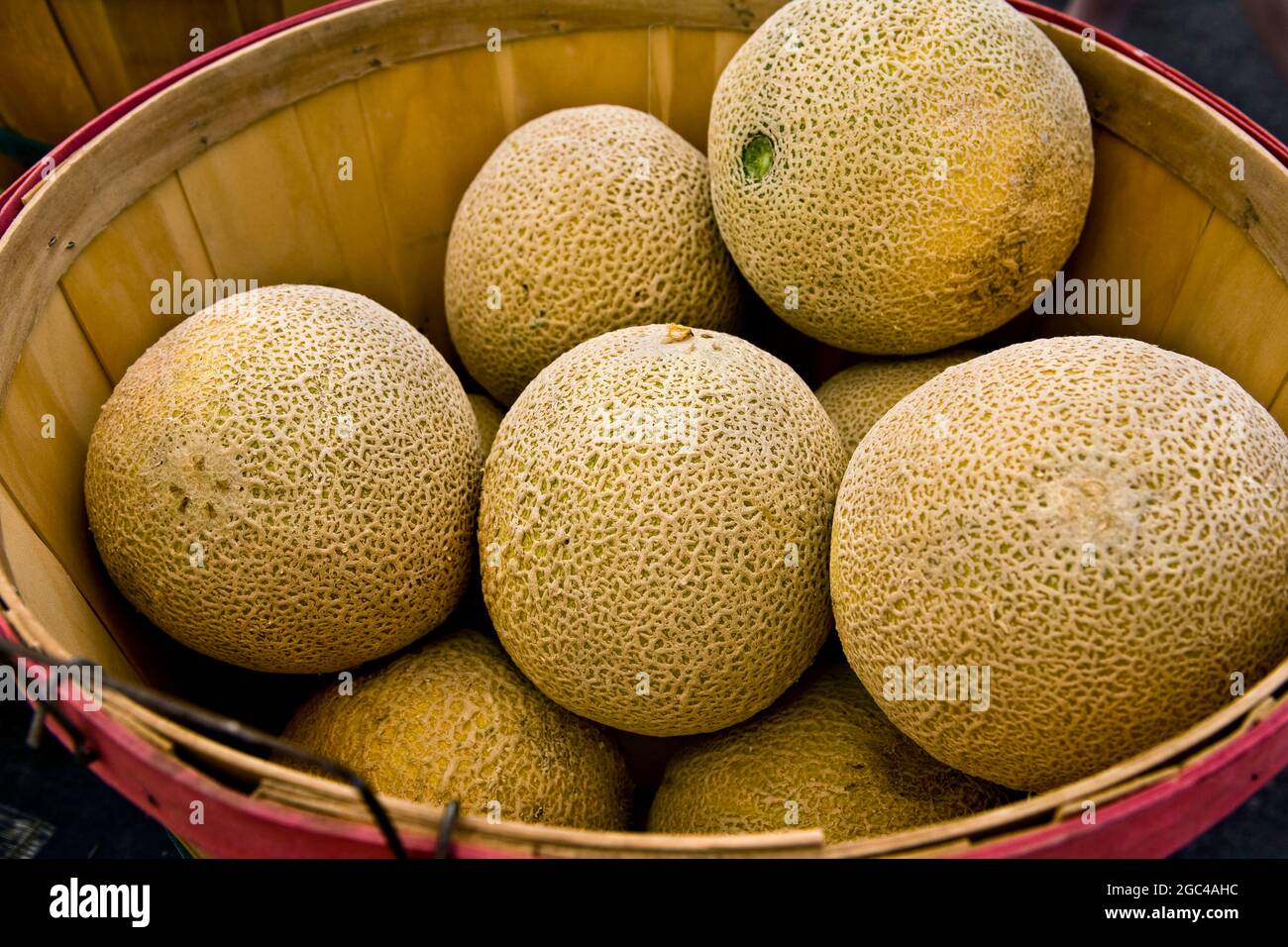 Buschel Korb von Cantaloupes Farmers Markt CO Stockfoto