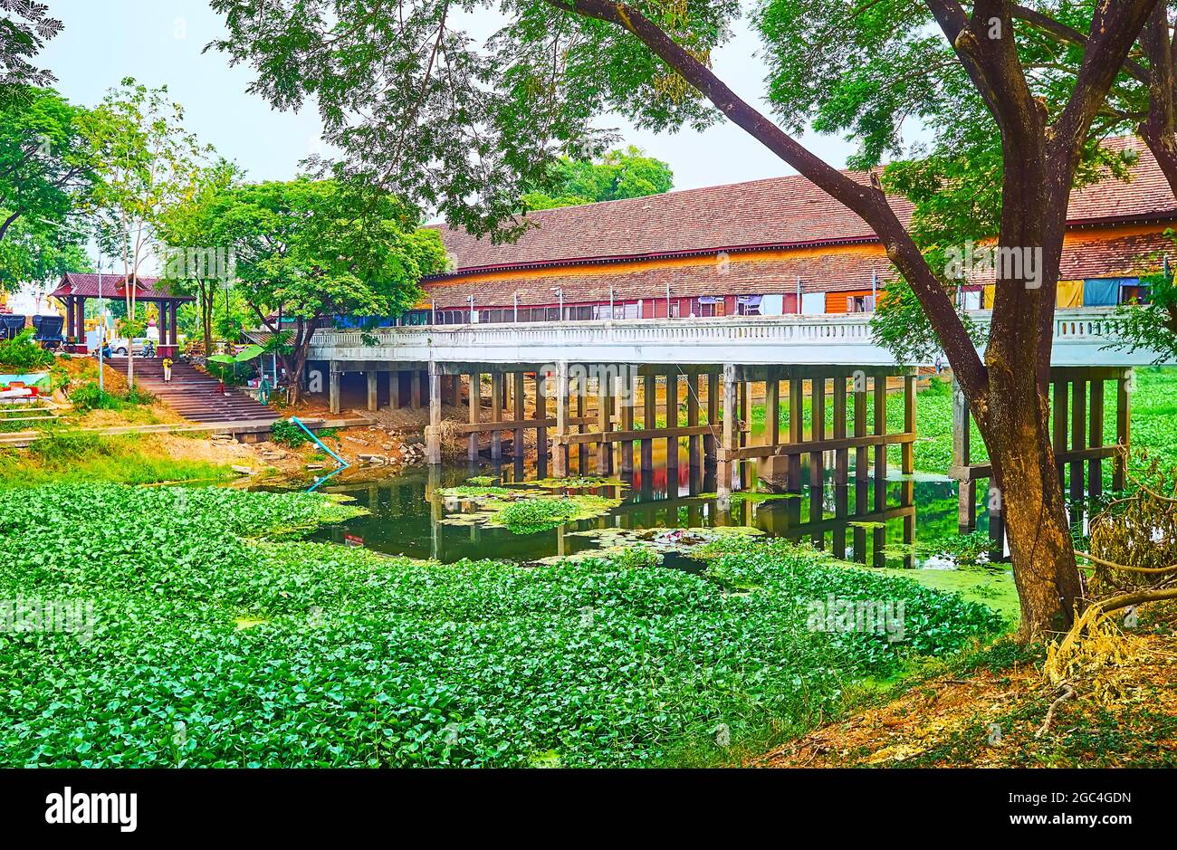 Die Ansicht der Kua Mung Tha Sing Einkaufsbrücke über den Kuang Fluss, bedeckt mit grünen Pflanzen von Wasserhyazinthe, Lamphun, Thailand Stockfoto