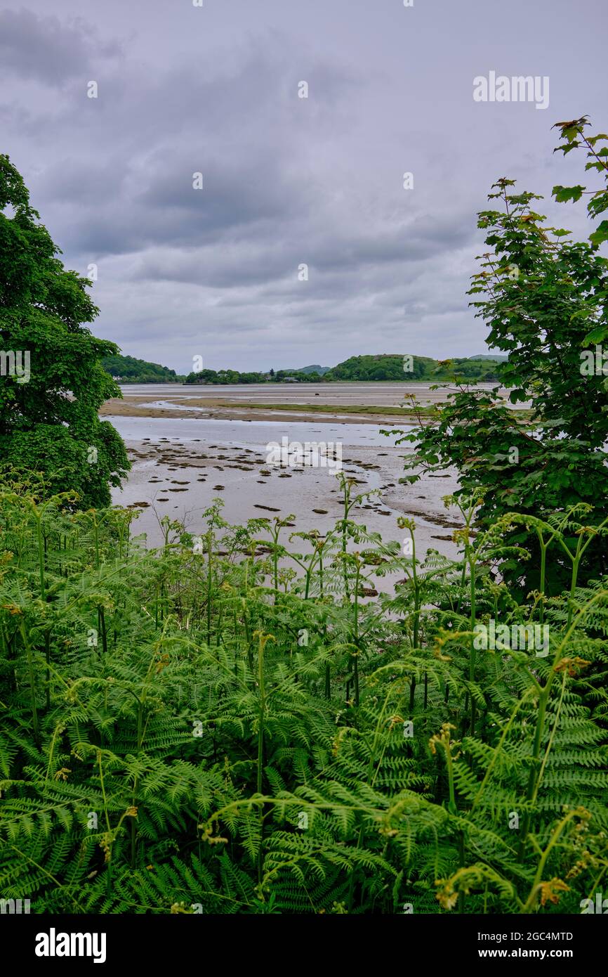 Vom Crinan zum Cairnbaan-Fußweg, mit Blick nach Norden über die Mündung des Loch Crinan zur Crinan Ferry Stockfoto